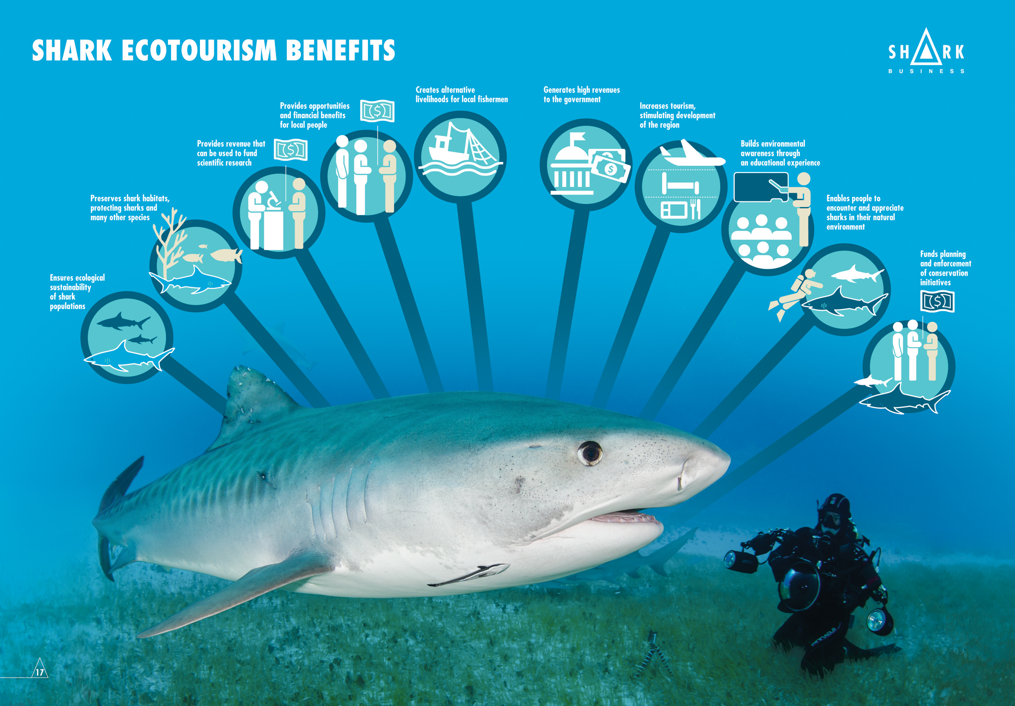 Conservation through ecotourism – Shark Business