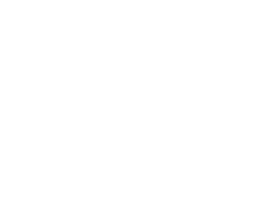 Fourth Element