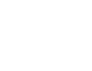 Shark Explorers