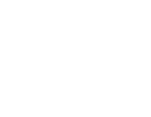 Sustainable Shark Diving